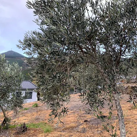 Feriehus Casa Do Julien Mountain Experience Vila Real