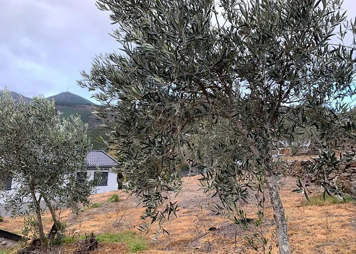 بيت للعطل Casa Do Julien Mountain Experience فيلا ريال